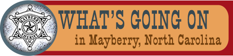 mayberry nc squad car tours